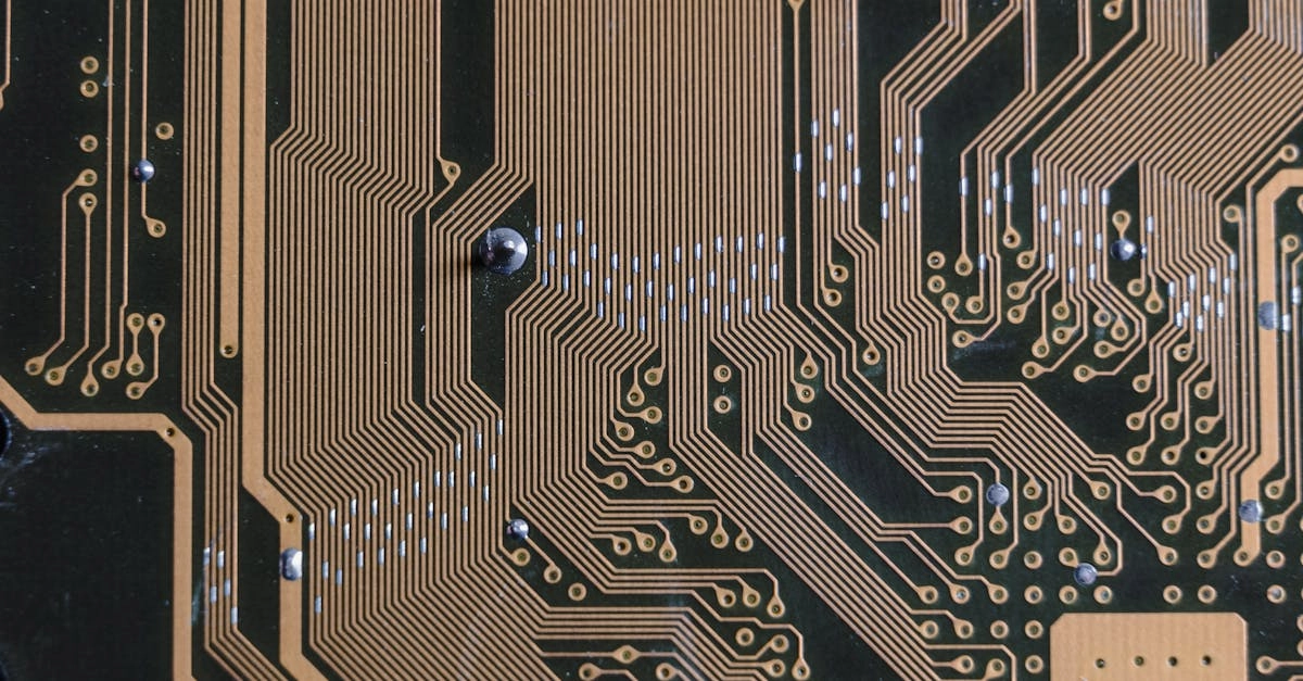 Технологический анализ слот-игры Wolf Gold и инновации